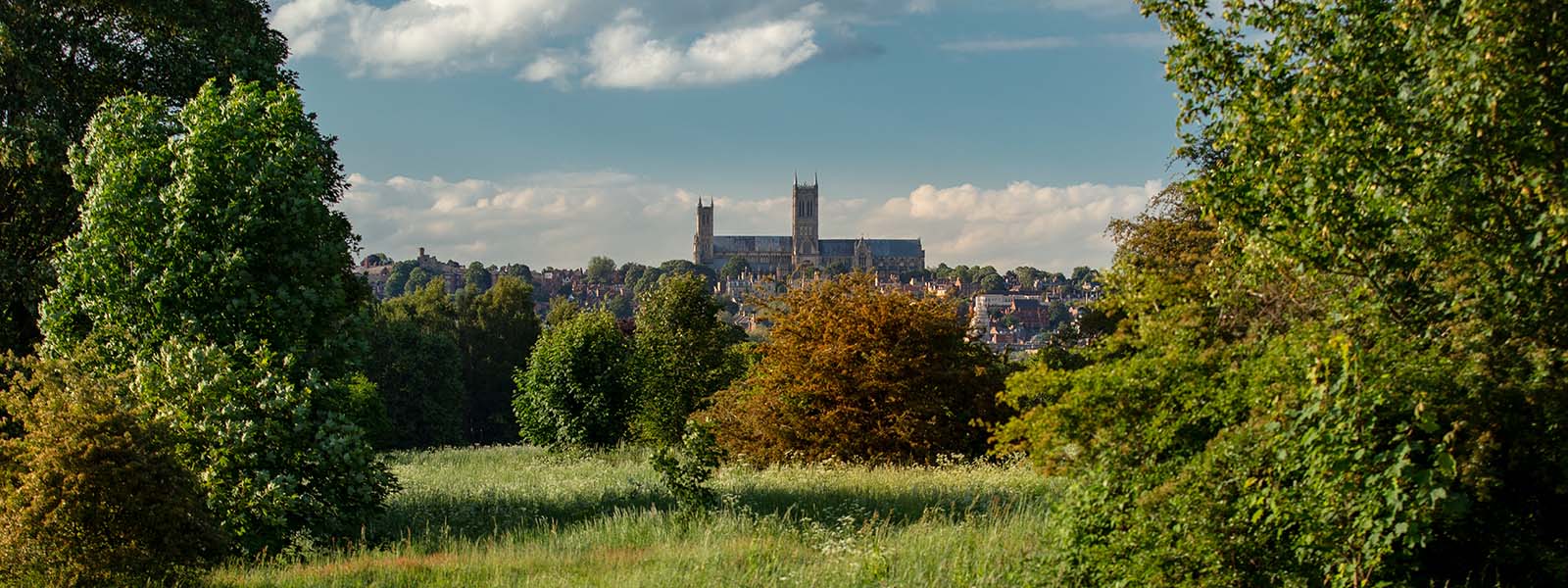 Trees with Lincoln Cathedral in the distance