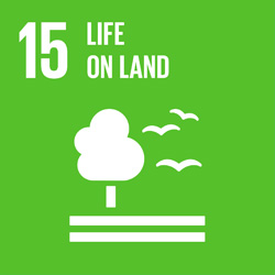 UN Sustainable Development Group 15 - Life on Land