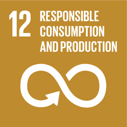UN Sustainable Development Group 12 - Responsible Consumption and Production