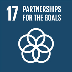 UN Sustainable Development Group 17 - Partnerships for the Goals